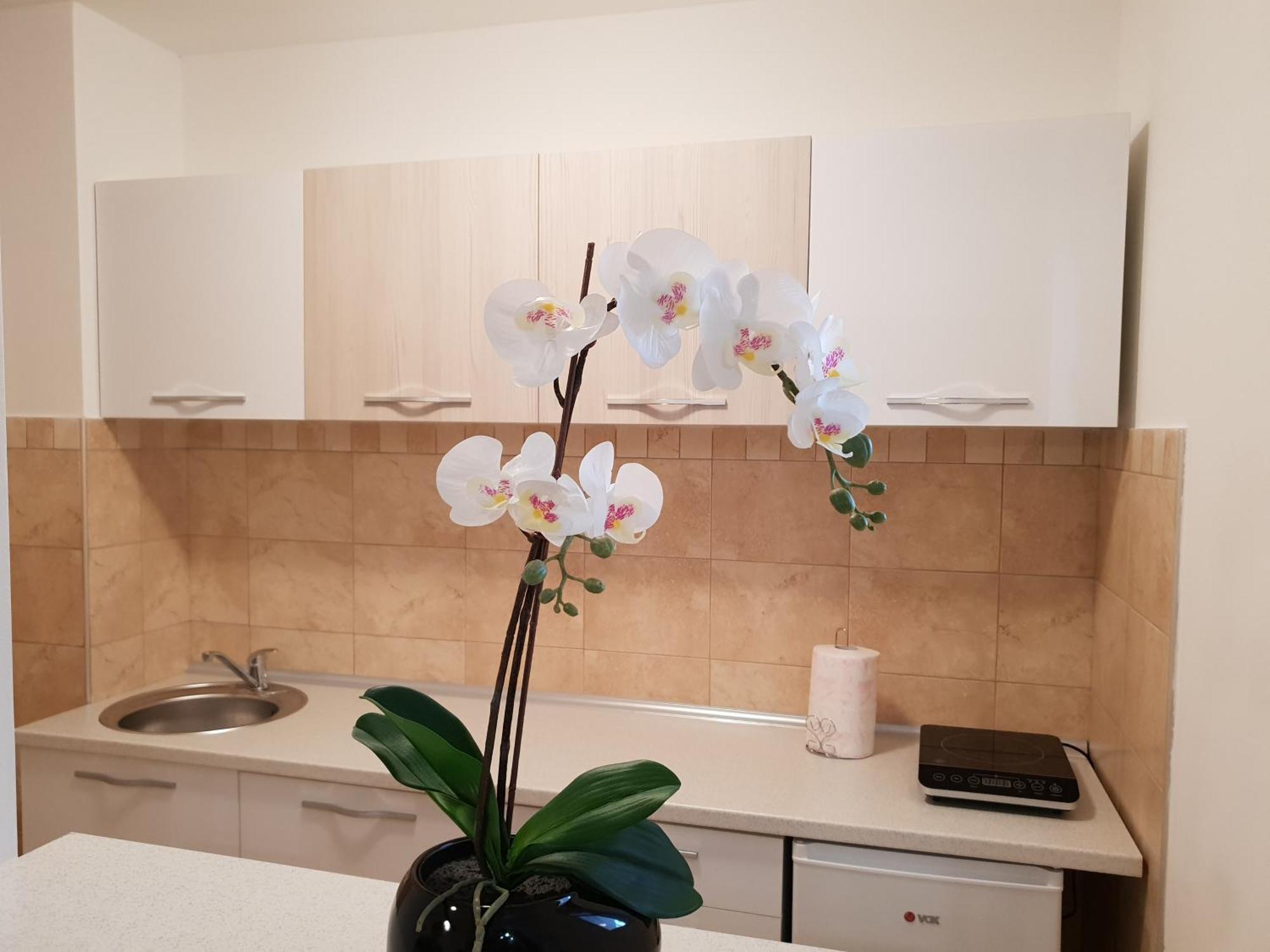 Apartman Kej Free Parking كرالييفو المظهر الخارجي الصورة